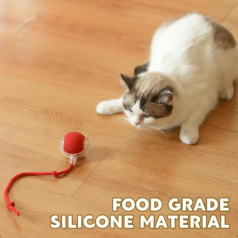 Interactive Electric Cat Toy with Rope - Automatic Rolling Ball for Kittens and Dogs, Ideal Pet Accessory Gift