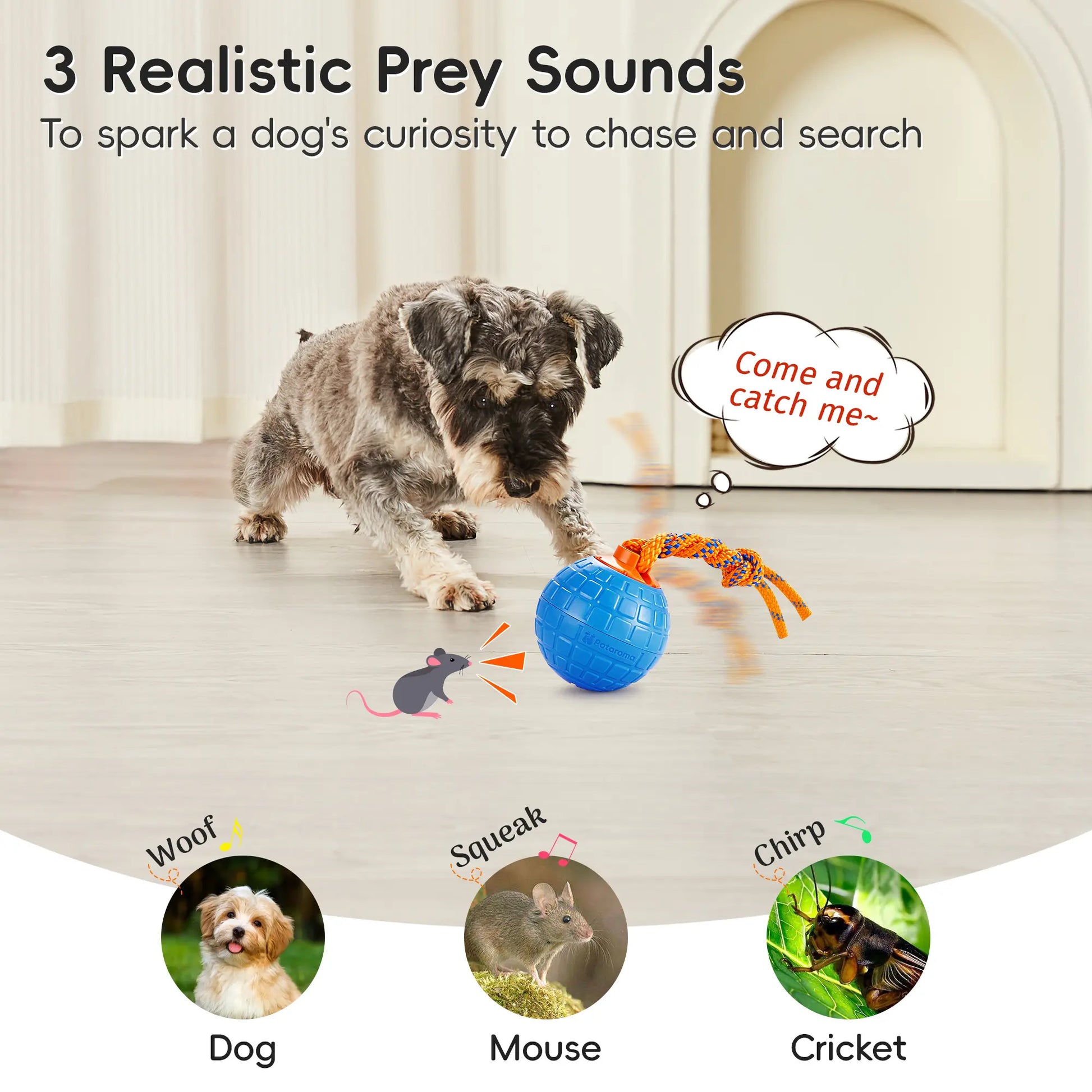 Potaroma Interactive Touch-Activated Dog Ball Toy with Rechargeable Animal Sounds and Durable Chewing Rope for Puppies - Blue