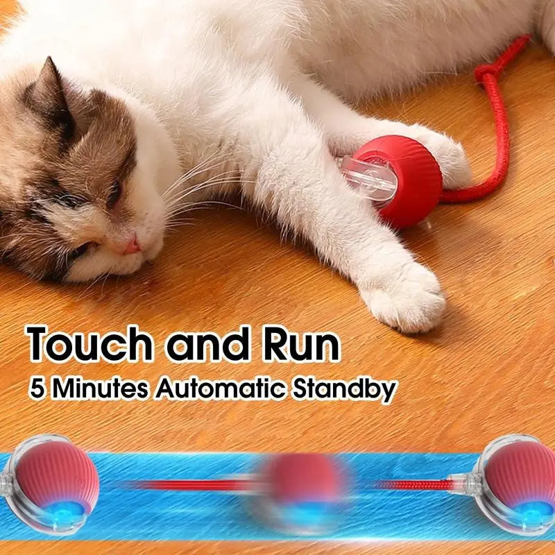 Interactive Electric Cat Toy with Rope - Automatic Rolling Ball for Kittens and Dogs, Ideal Pet Accessory Gift